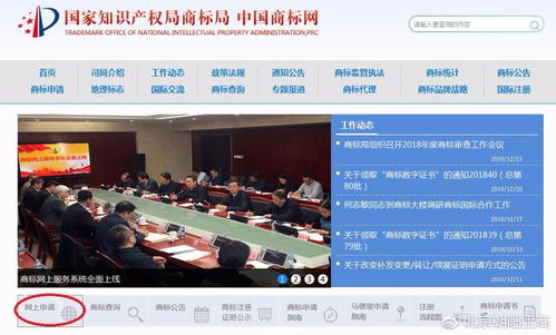 朝阳区优化营商环境 实施商标品牌战略与市场主体登记注册代理服务双轮驱动
